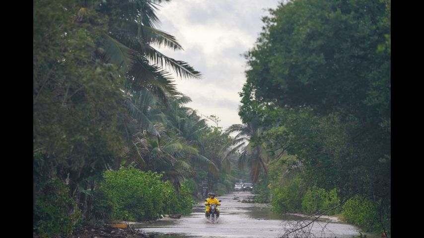 At least 200 crocodiles crawl into cities as heavy rains hit northern Mexico, near Texas