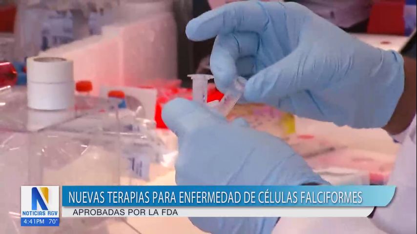 Salud y Vida: FDA aprueba nuevas terapias para enfermedad de células falciformes