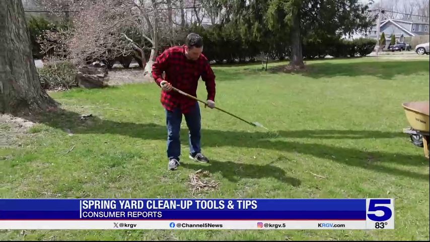 Consumer Reports: Spring yard clean-up tools and tips