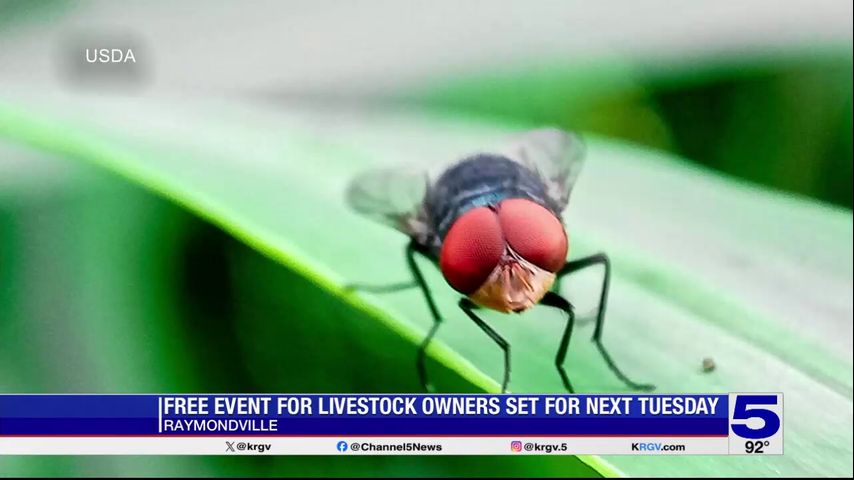Animal health experts to advise livestock owners on screwworm at Raymondville event