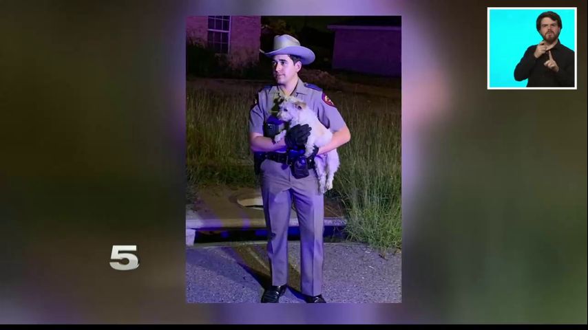 State troopers rescue injured dogs from Donna drainage ditch