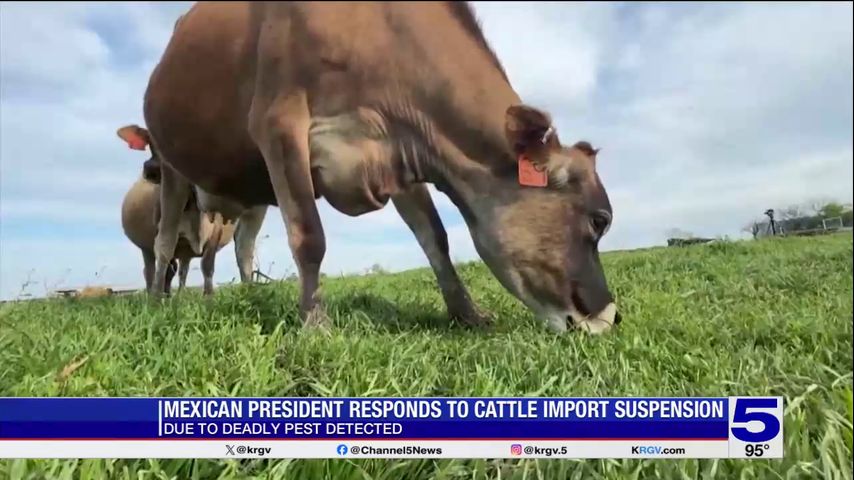 Livestock expert says US suspension of beef imports ‘not likely’ to cause increase in beef prices