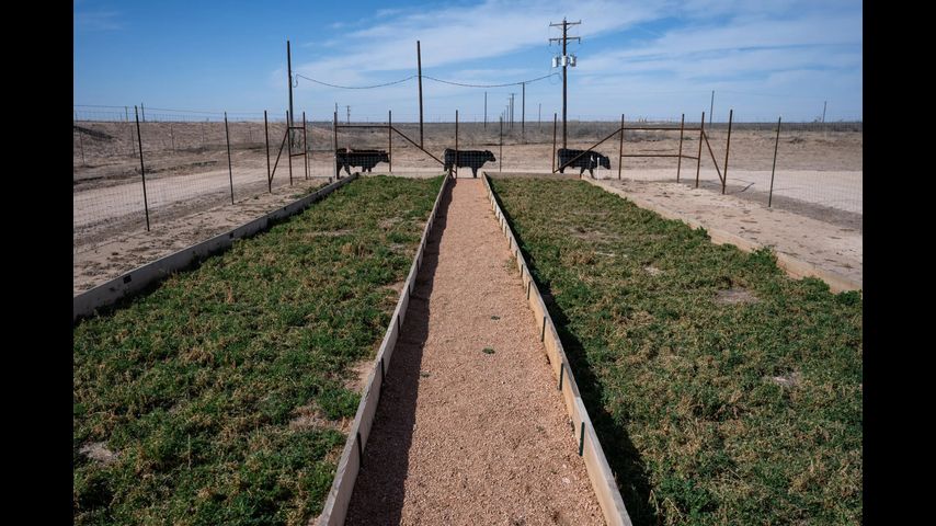 Can Texas clean up fracking water enough to use for farming? One company thinks so.