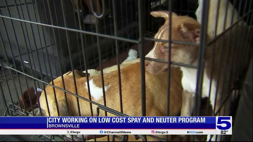 Brownsville animal shelter announces plans to help with animal control