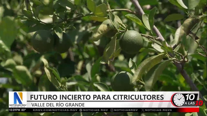 Agricultores del Valle enfrentan la pérdida de ventas tras el fin de programas federales
