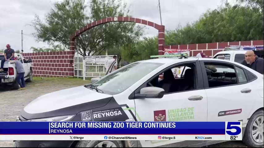 INSIDE LOOK: Mexican officials hope to capture loose tiger alive in Reynosa