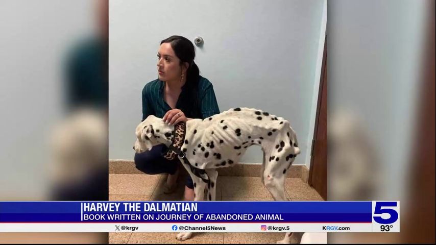 Book written on the journey of abandoned McAllen dog, Harvey the Dalmatian