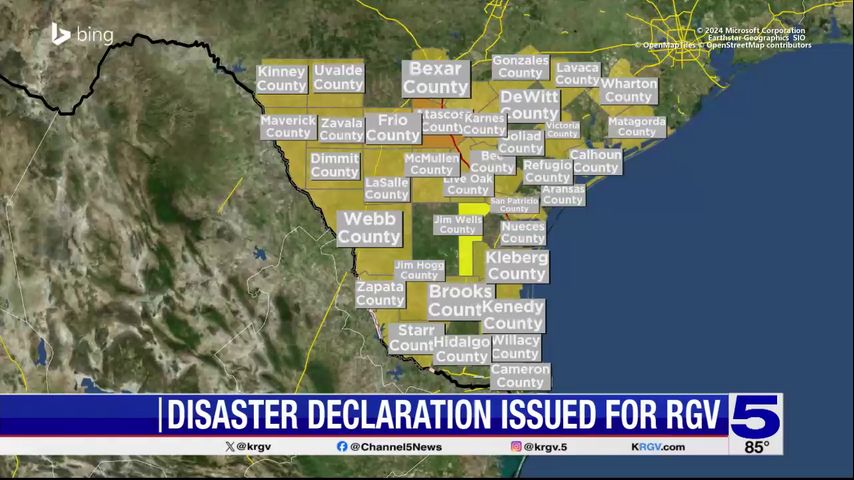 Disaster declarations issued in the Valley ahead of Hurricane Beryl’s landfall