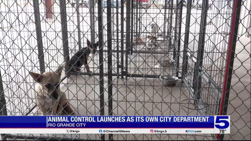 Rio Grande City Animal Control launches as its own city department
