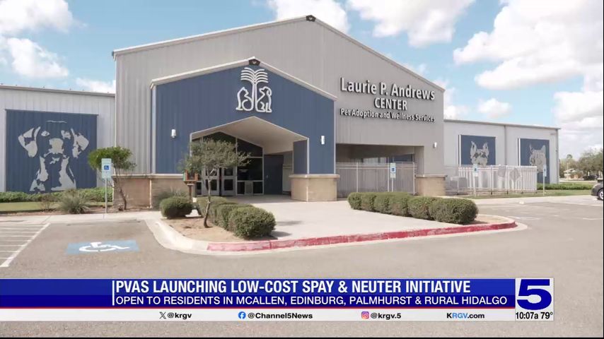 PVAS launching low-cost spay, neuter initiative for some Hidalgo County residents