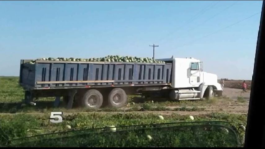 Farmer Upset Over Faulty Checks from Produce Company