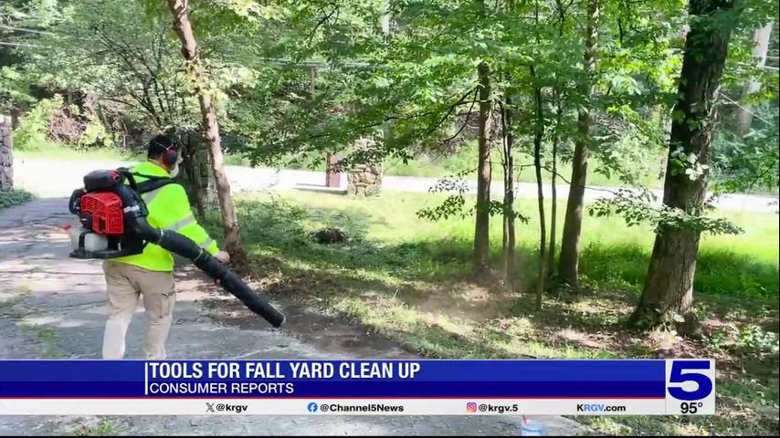 Consumer Reports: Tools for Fall yard clean-up