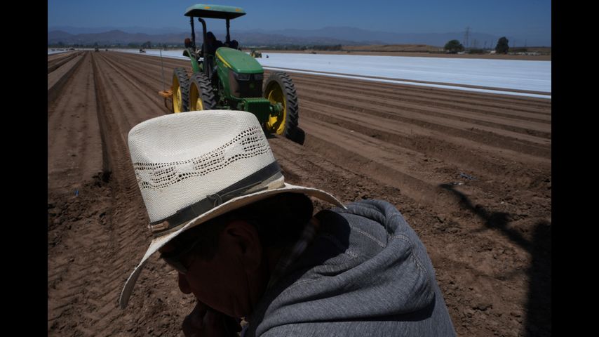 Redadas del ICE y su incertidumbre ahuyentan a trabajadores y desconciertan a empresas