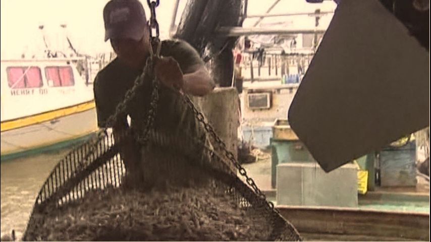Louisiana's inshore shrimp season to close Friday