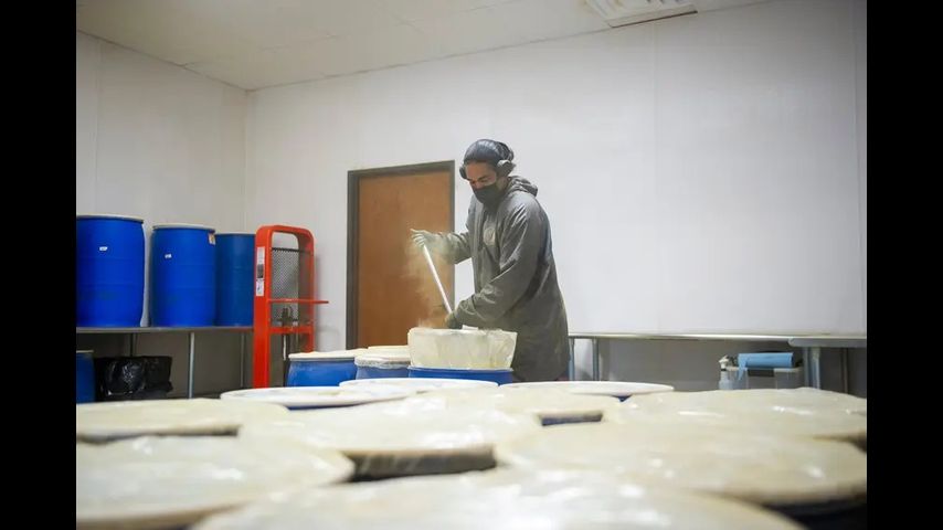 Kratom poisoning calls climb in Texas as the state fails to enforce ban on synthetic version