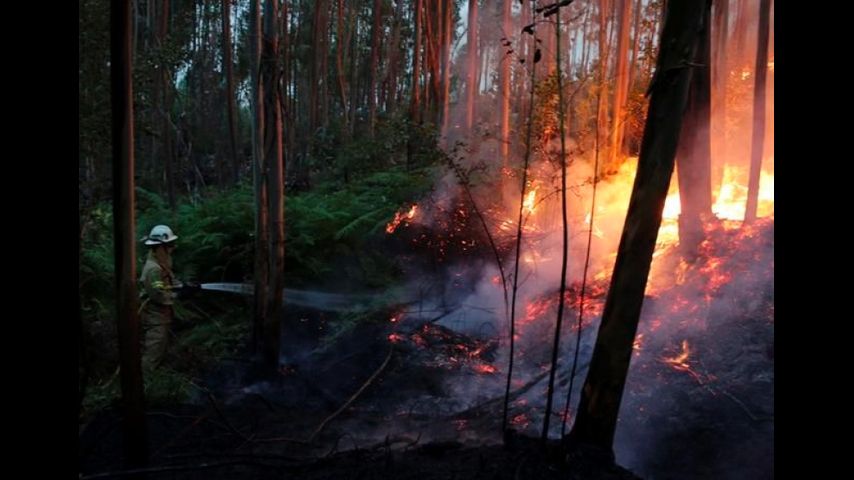Portugal forest fire death toll likely to rise