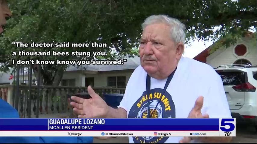 McAllen man recovering from bee attack as city warns of increase in activity
