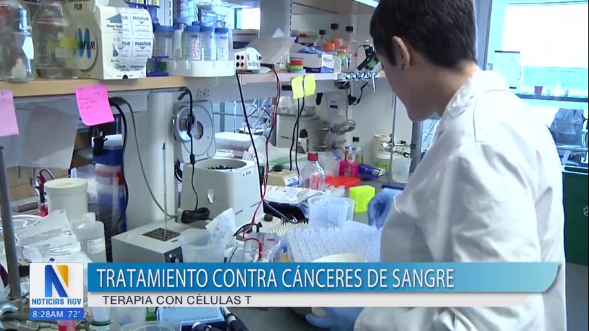 Utilizan la terapia con células T en pacientes con cáncer