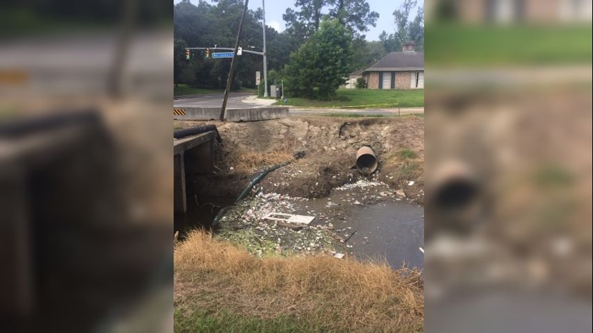 City-Parish Litter Response Team cleans up near LSU lakes