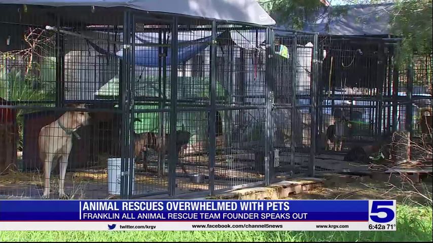 Animal rescue group in Palmhurst overwhelmed with pets