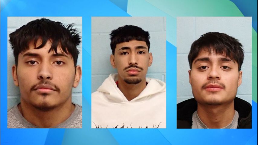 Policía de McAllen arresta a tres sospechosos de vandalismo