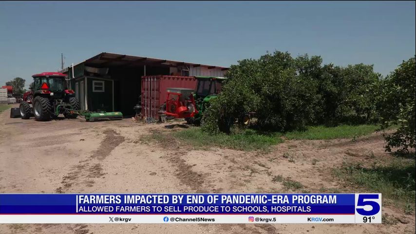 Hidalgo County citrus grower reacts to end of pandemic-era program that helped schools serve food from local farmers