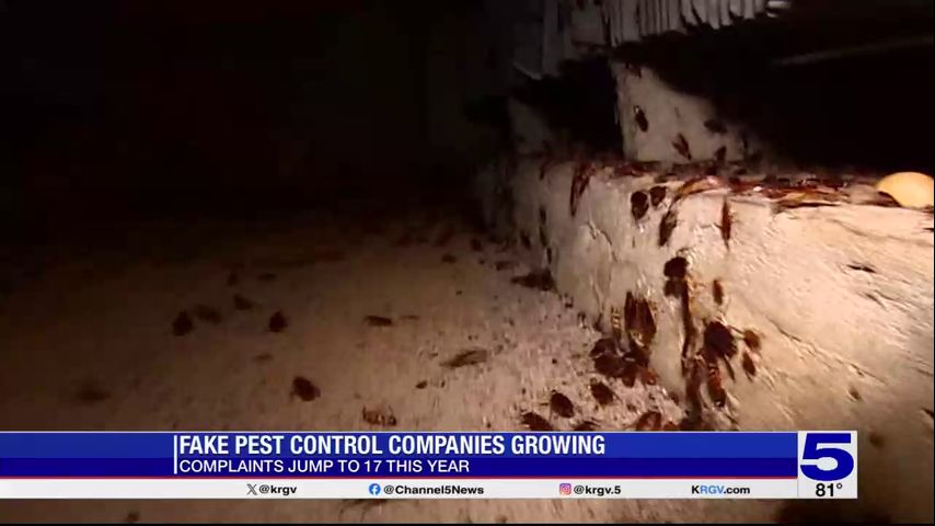 Texas agriculture commissioner warns of fake pest control companies