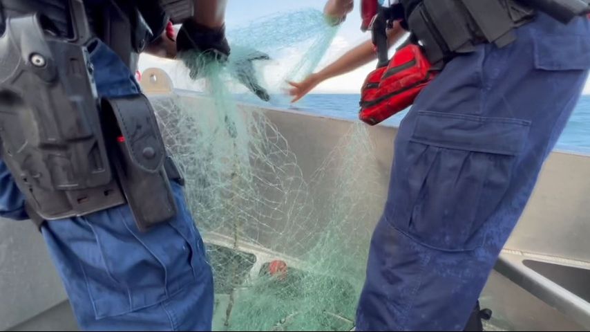 US says a drug cartel is behind the longstanding problem of illegal fishing in the Gulf of Mexico