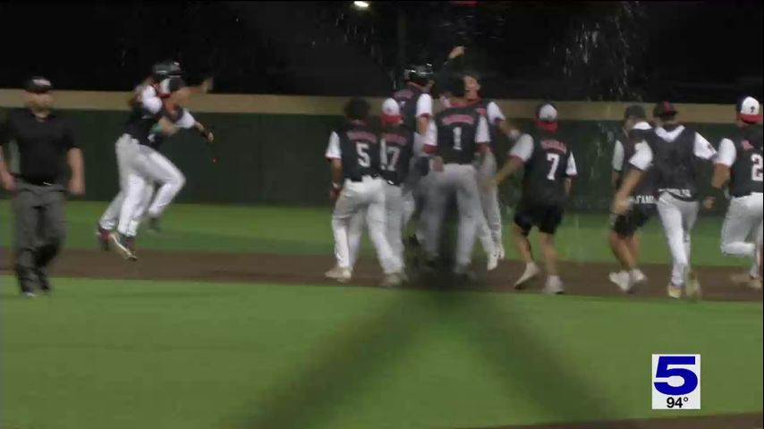 RGV high school baseball regional semifinal previews: Palmview Lobos