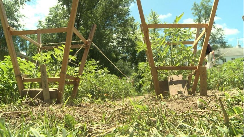 Community Garden Provides Opportunity For Learning