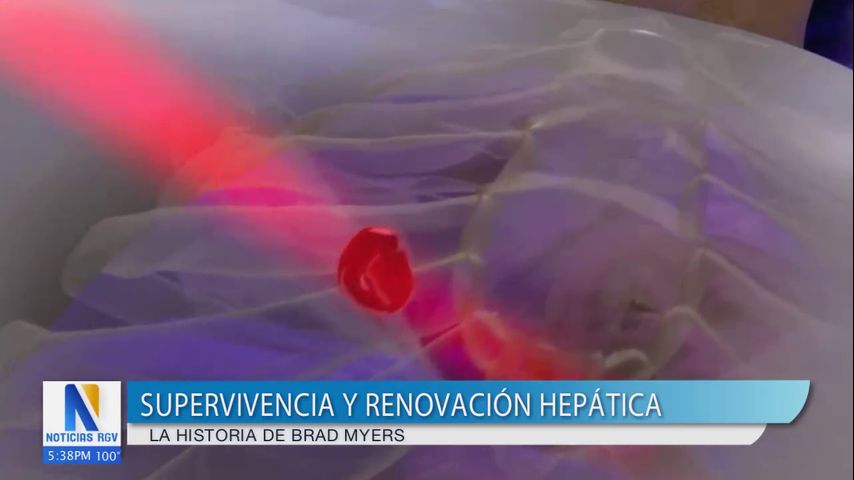 Salud y Vida: Lucha contra la insuficiencia hepática
