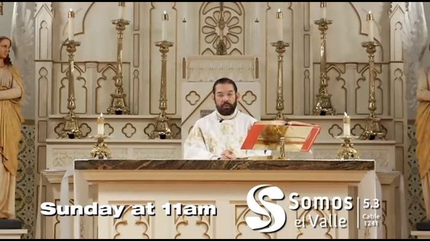 WATCH LIVE: Sunday Mass, August, 25, 2024