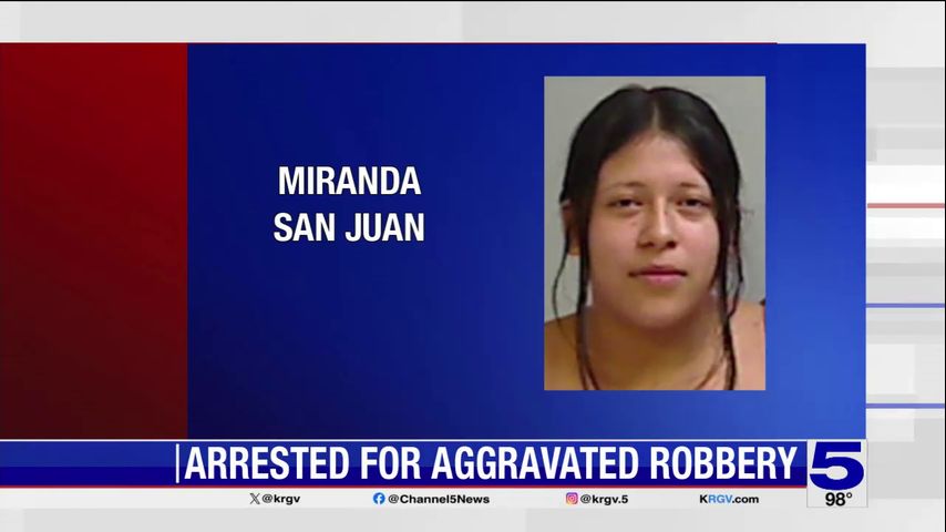 3 suspects accused of stealing car from Palmview Whataburger arrested