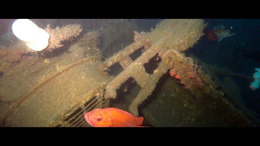 Historic sunken military ship won't be brought to surface