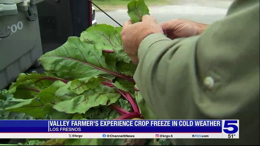 Valley farmers impacted by cold weather