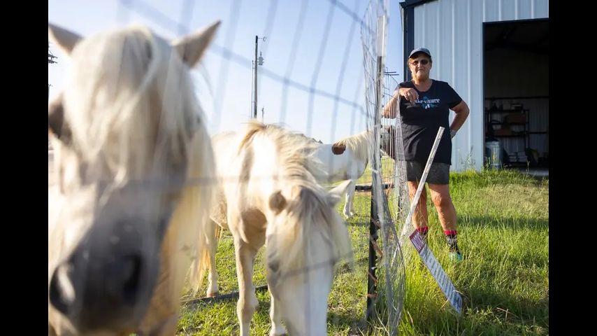 Some rural Texans see THC as a lifeline for their health and economy