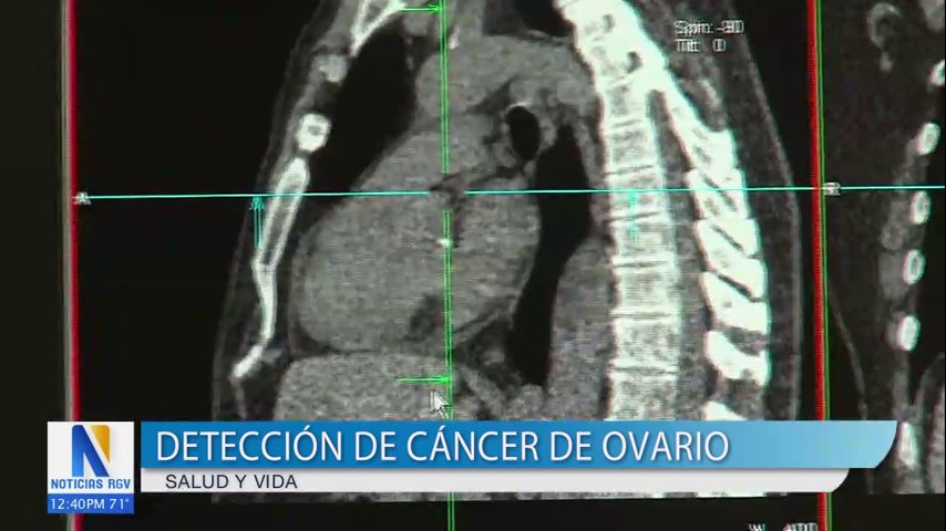 El impacto de factores ambientales y químicos en la pubertad precoz y los riesgos de salud