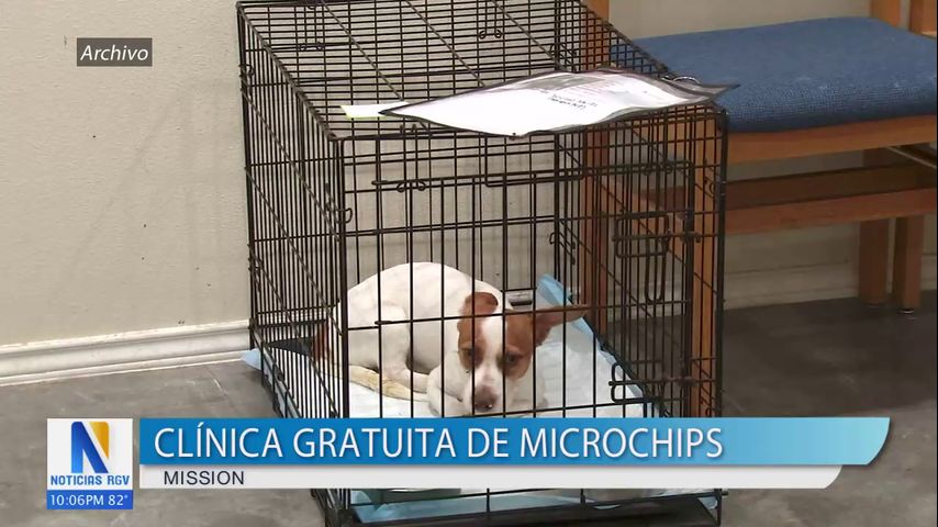 Ciudad de Mission organiza clínica gratuita de microchips en refugio de animales