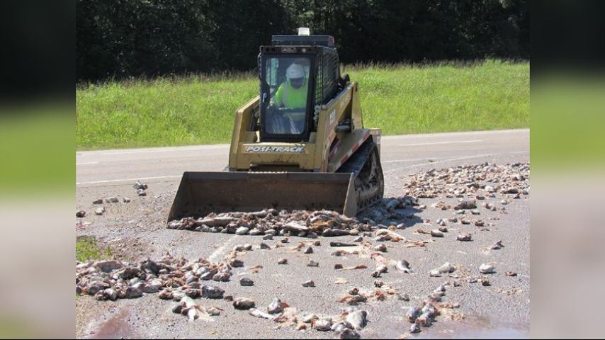 Catfish spill leaves stinky mess on Mississippi highway