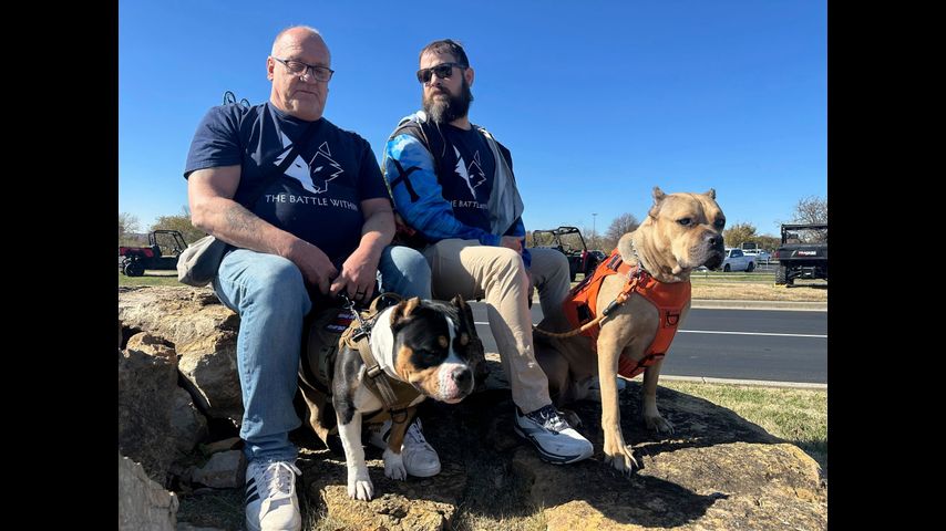 'I got my life back.' Veterans with PTSD making progress thanks to service dog program