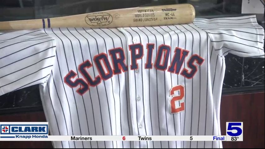 RGV Sports Hall of Fame: 1977 Texas Southmost baseball team