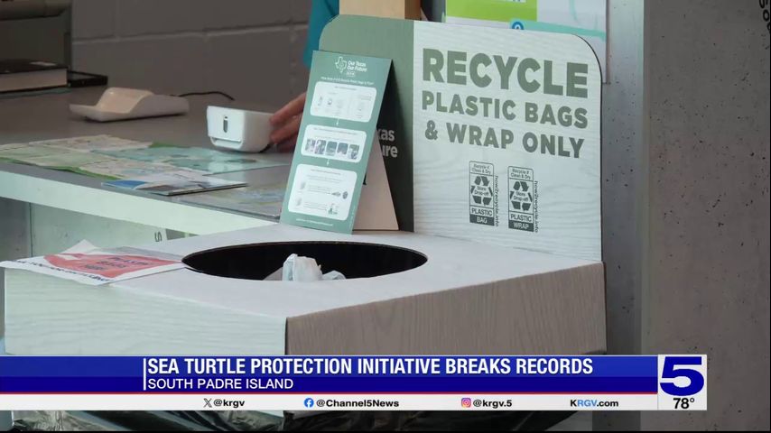 Sea turtle protection initiative breaks records at South Padre Island