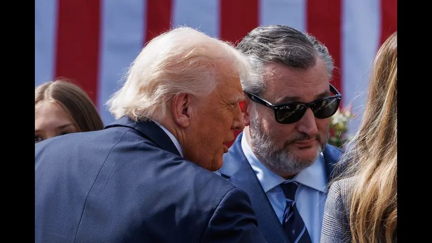 American babies may get $1,000 each to invest because of Ted Cruz