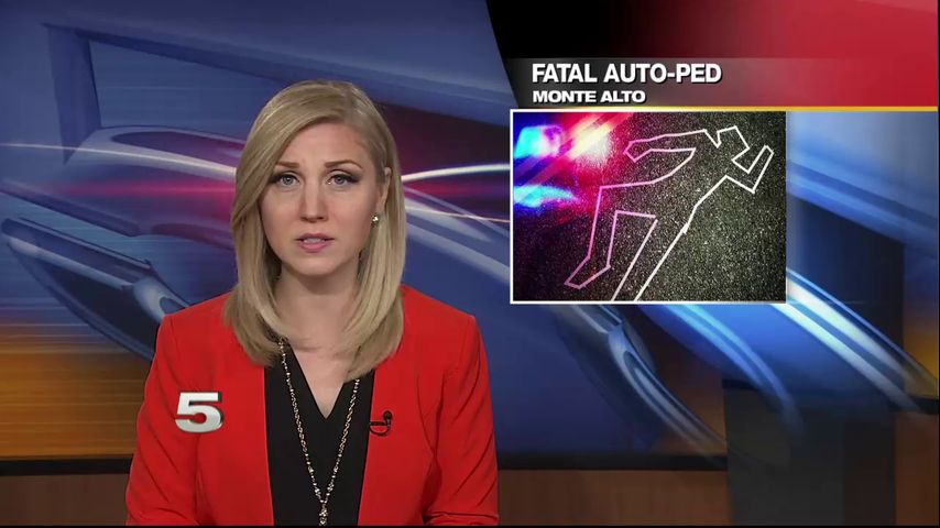 Fatal Auto-Pedestrian Crash Claims Life of Teen in Monte Alto