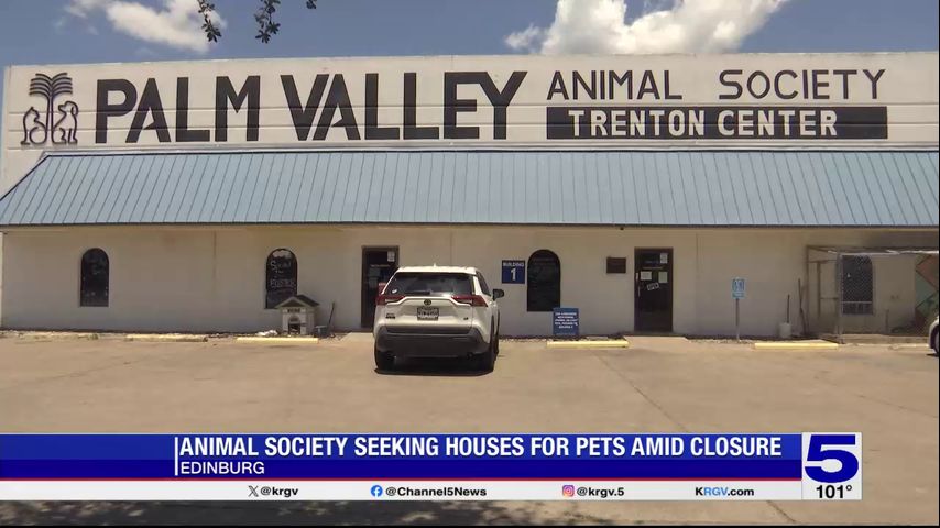 PVAS in Edinburg pushing for adoptions, fosters amid shelter closure