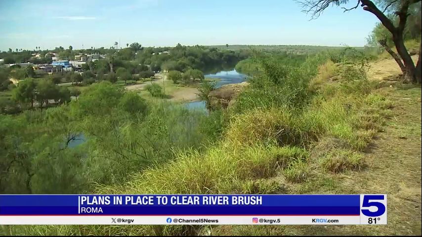 Riverbank being cleared of brush in Roma thanks to state and federal partnership