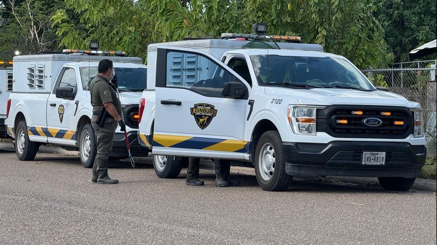 Over 35 dogs surrendered to authorities in Edinburg animal hoarding investigation