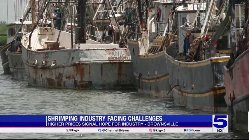 Valley fishermen prepare for reopening of Gulf shrimp season