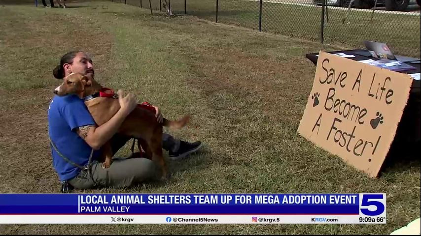 Valley animal shelters host adoption event