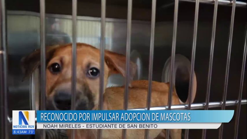 Residente de San Benito recibe reconocimiento por su labor comunitaria de adopción canina